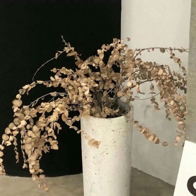 建安FurryQQ群介绍